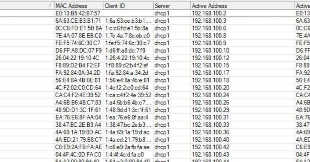  A table with a list of devices connected to a router, including their IP addresses, MAC addresses, and connection status, to check the WiFi history on the router.