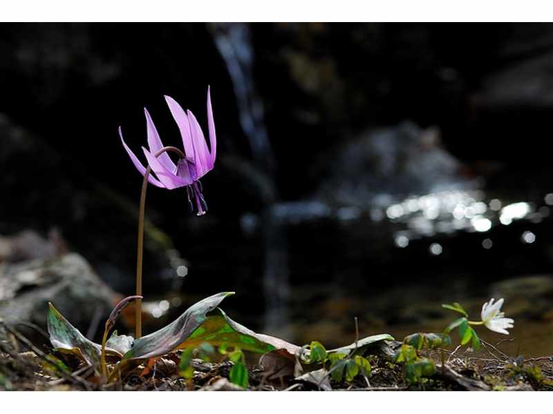 How Do I Change Netgear Password Quickly And Easily